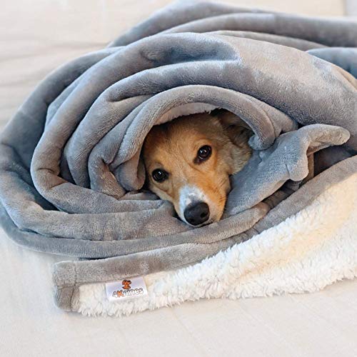 Plush Reversible Waterproof Dog Blanket – Soft Sherpa & Microfiber Pet Throw – Durable Couch, Bed, or Crate Protector for Dogs – Machine Washable Pet Cover – 60x48 Inch – Grey Color - view 2