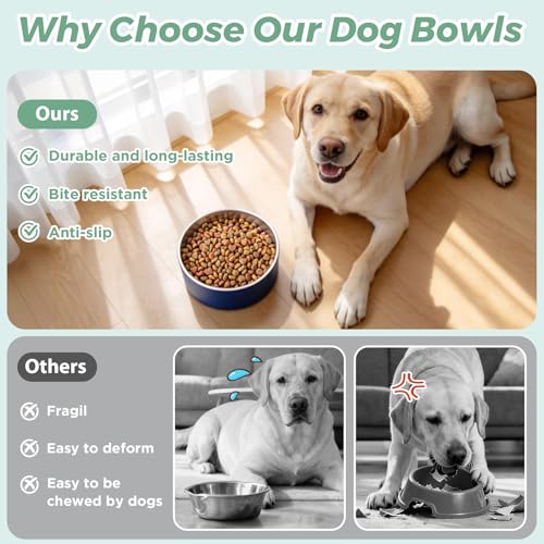 Dog Bowl,Stainless Stee Dog Water Bowl and Food Bowl,40 oz Blue - view 2