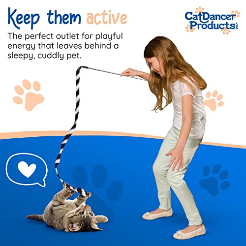 Products Jungle Cat Charmer, Jungle Wand Toy for Kittens Training, Colorful Ribbon Cat Charmer, Interactive Catcher Wand for Cat Exercise (1 Pack, Multicolor) - view 5