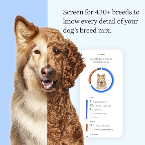 Panel Essential Dog DNA Test, 430+ Breeds, 30 Health Tests, 2 Pack - view 3