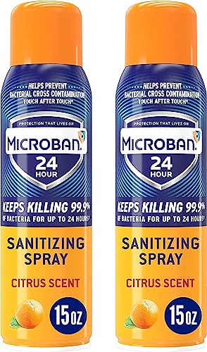 Disinfectant Spray, 24 Hour Sanitizing and Antibacterial Sanitizing Spray, Citrus Scent, 2 Count (15oz Each) (Packaging May Vary)