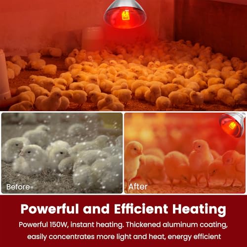Infrared Heat Lamp Bulb for Chickens Red Heat Lamp Flood Light Heat Lamp Bulb 150 W Heating Bulbs for Brooder Coops Pets Chicks Reptiles Food Service (1 Pack) - view 3