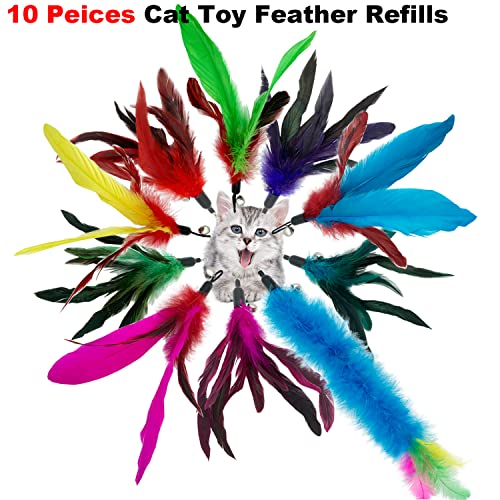 Cat Feather Toys Refills, 10 Pieces Cat Wand Replacement Feathers Toy for Indoor Cats - view 3