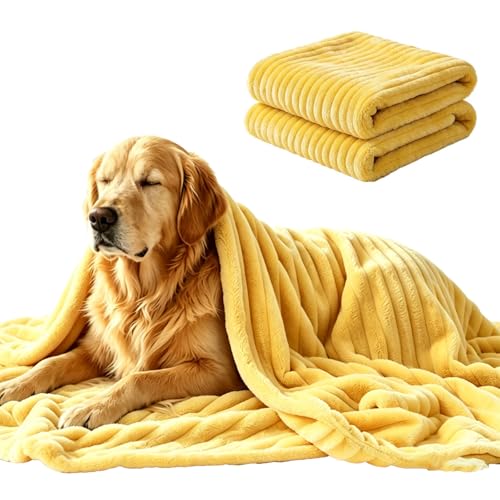 Yellow Dog Blanket, Emotional Blanket for Dogs, Soft Puppy Flannel Fleece Blanket for Pet Dog Cat, Plush Microfiber, Cozy and Lightweight for Indoors Sofa, Kennel (39.37×59.06in)
