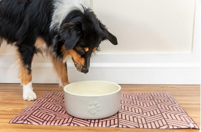 Large Pet Placemat, Dog Cat Food Water Bowls Mat Feeding Station Pet Safe 28" X 16.5" Waterproof Easy to Clean Dog Modern Designs Boho - view 4