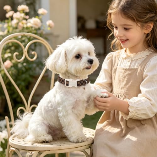 Brown Checked Dog Collar, Autumn Plaid Dog Collar,Western Grid Dogs Collars for Small Medium Dogs, Neck 11-16 inches - view 5