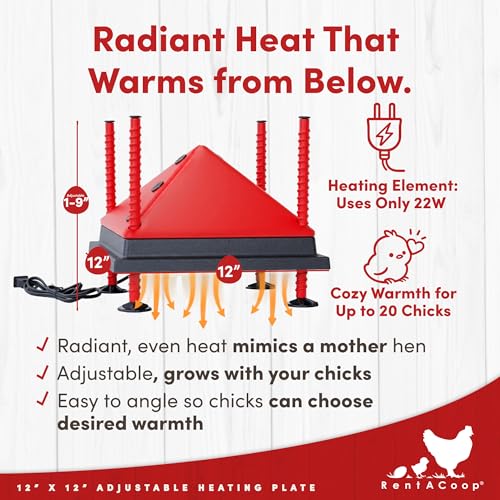 12x12” Adjustable Heating Plate with Foldable Anti-Roost Cone - view 2