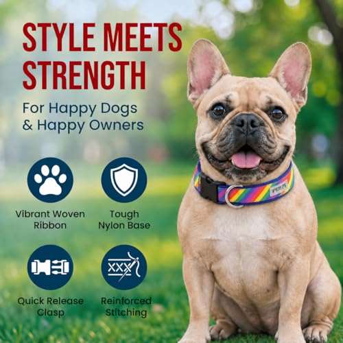 Characters, Adjustable Dog Collar,for Medium Dogs,Rainbow - view 2