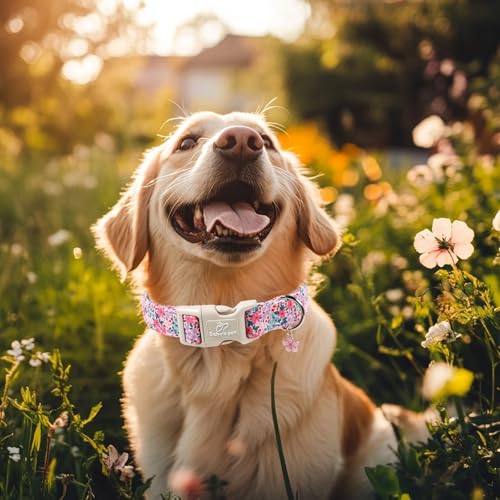 Floral Dog Collar, Cute Girl Dog Collars - Pastel Wildflowers Pattern Spring Summer Puppy Collar, Adjustable Female Dog Collars for Small Medium Large Dogs S - view 5
