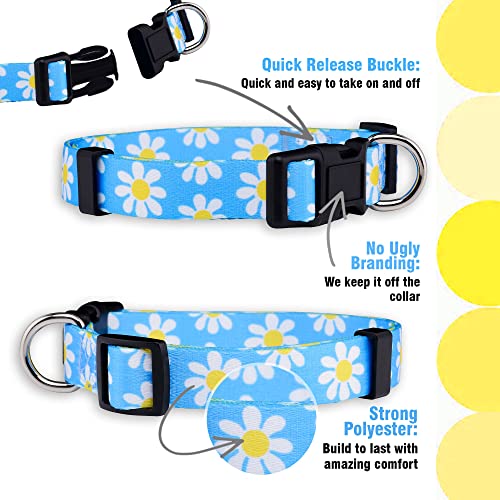 Flower Dog Collar, Adjustable Small Medium Large, Cute Girl Female Summer Spring Pretty Designer Puppy Essentials Accessories, Pink Floral Blue Daisy Rose (Medium, Blue Daisy) - view 4
