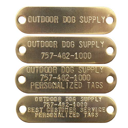 Heavy Duty Waterproof D-Ring Dog Collar w Custom Name Tag, Lime Green 21" - view 5