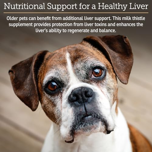 Liquid Hepato Support for Dogs & Cats - 4oz - view 2