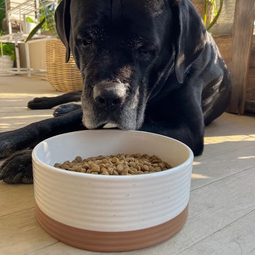 Ceramic Pet Bowl - Large Food/Water Dish for Large Dogs, Cats, Great Dane, Mastiff - 50oz or 8 Cups - Basic Bowls - Vanilla White - view 5