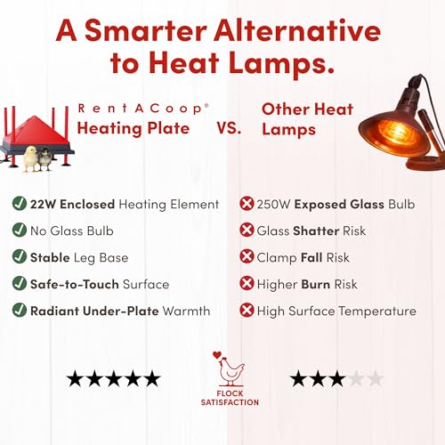 12x12” Adjustable Heating Plate with Foldable Anti-Roost Cone - view 4