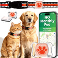 Pet GPS Tracker for Dogs & Cats, Smart GPS Collar with Real‑Time Tracking