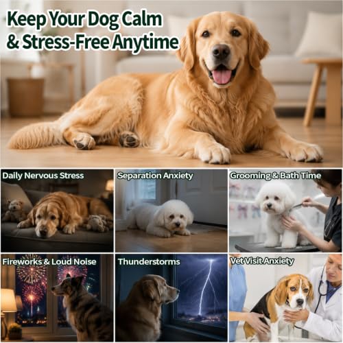 Calming Chews for Dogs 200 Ct Melatonin Relieves Emotions Anxiety Chicken - view 4
