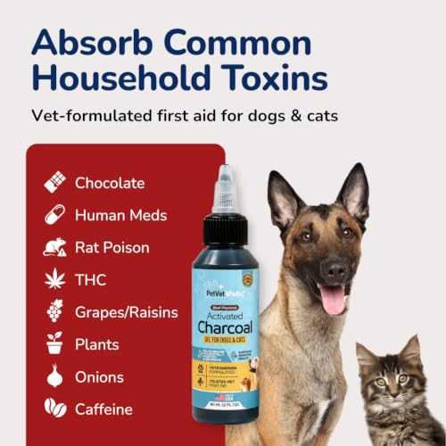 Activated Charcoal for Dogs, Cats & Puppies – Emergency Pet First Aid Gel for Accidental Ingestion, Beef-Flavored Digestive Paste, Veterinarian-Developed, Made in USA, 60 mL - view 3