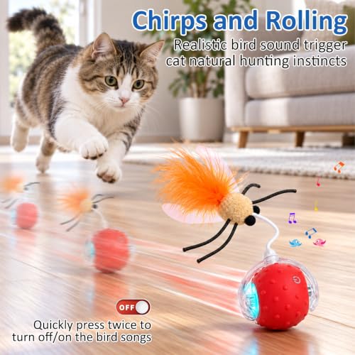 Interactive Ball Cat Toys for Indoor Cats, Auto-Rolling with Feather Tail - view 2