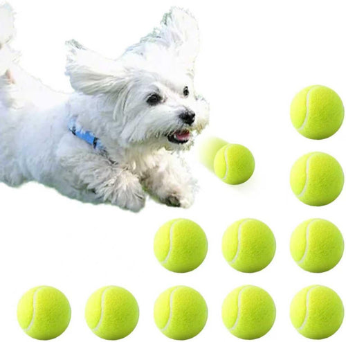 10 pack 2-inch pet tennis balls - interactive fetch & training toys for indoor outdoor play, dog balls suitable only for small dogs (green-01)