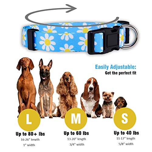 Flower Dog Collar, Adjustable Small Medium Large, Cute Girl Female Summer Spring Pretty Designer Puppy Essentials Accessories, Pink Floral Blue Daisy Rose (Medium, Blue Daisy) - view 3