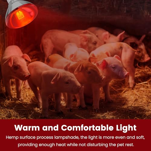 Infrared Heat Lamp Bulb for Chickens Red Heat Lamp Flood Light Heat Lamp Bulb 150 W Heating Bulbs for Brooder Coops Pets Chicks Reptiles Food Service (1 Pack) - view 4