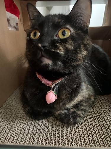 Peach Cat Collar with Bell | Safety Breakaway Collar | Adjustable Large Size or Kitten (Small(10lbs & Less), Pink) - view 2