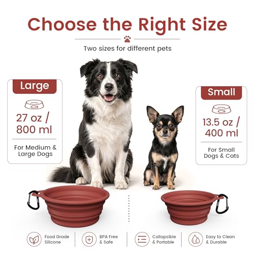 Collapsible Dog Bowls for Pet Travel, 12oz, 2pcs, Coral&Brick Red - view 2