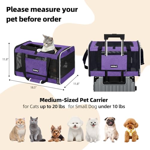 Cat Carrier Soft-Sided Travel Bag for Medium to Large Cat Over 15lbs - view 2