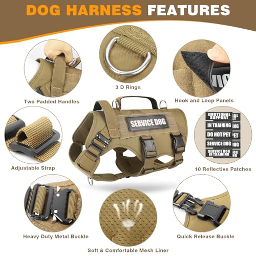 Tactical Dog Harness with Dog Leash, Service Working MOLLE Vest with 10 Pet Patches for Medium Dog, No Pull Military Harness and Backpack for Training Hunting Walking - view 3