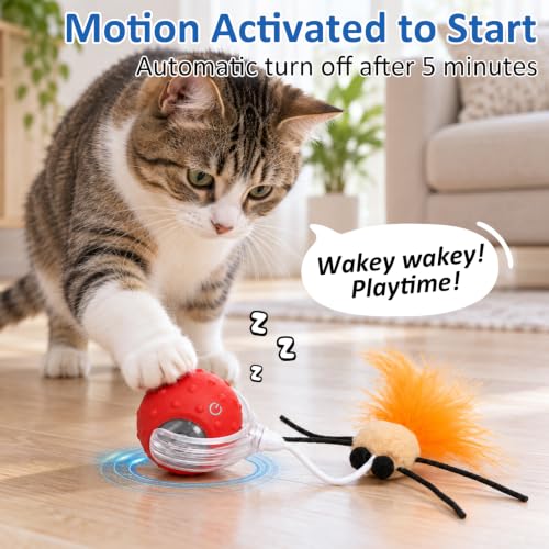 Interactive Ball Cat Toys for Indoor Cats, Auto-Rolling with Feather Tail - view 3