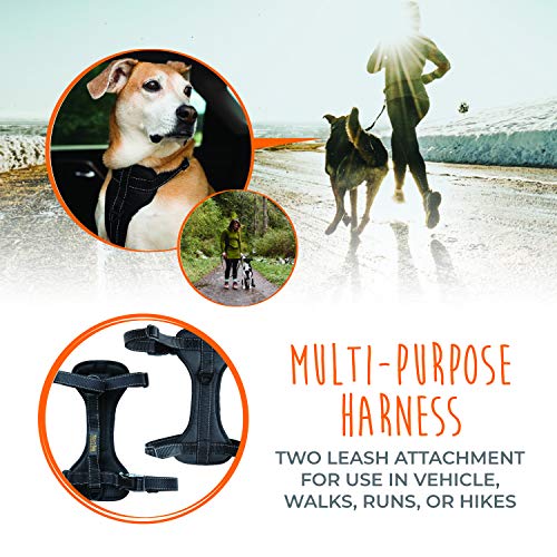 Dog Car Harness - Vehicle Safety Gear - 2 Leash Attachment - Adjustable Straps - Reflective Stitching - Soft Padding - Standard Harness Functionality - No Pull Front Leash Attachment - L - view 6