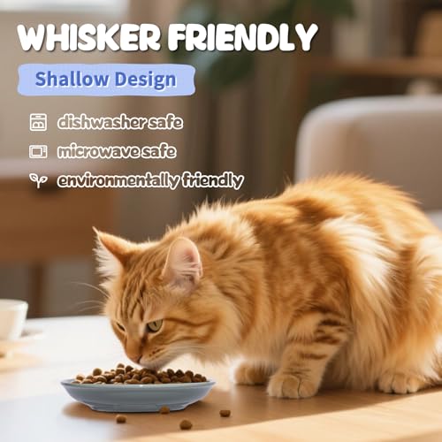 [8 Pack] Ceramic Cat Food Bowl, Colorful Cat Bowls Whisker-Friendly, 5.9" Shallow Wide Kitten Plates, Easy to Clean Indoor Feeding Dishes - view 5
