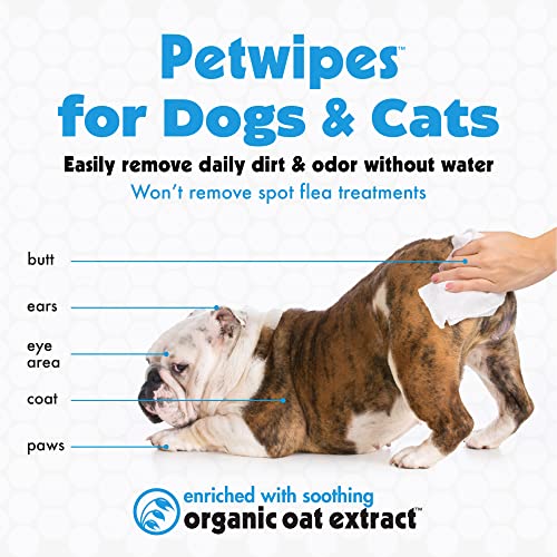 Large Pet Wipes for Dogs and Cats, 200 Count, Organic Oat Extract, Moistened with Gentle Cleaning Formula, Ideal for Home or Travel - view 3