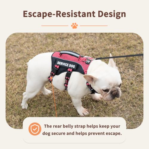 Escape Proof Dog Harness, Service Dog Vest Harness with 6 Patches, No-Pull, Reflective Harness with Handle, Adjustable for Small to Large Dogs, for Training and Hiking (Red, S) - view 2