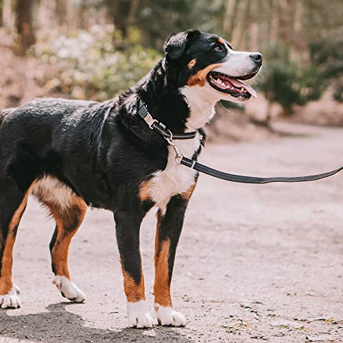Adjustable Rubberized Reflective Dog Collar for Medium Large Dogs with ClickLock Buckle – Overall Length 16-22 inches (Black) - view 2