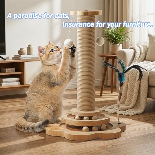 Kitten Starter Kit - 45 Pcs of Cat Essentials - view 4