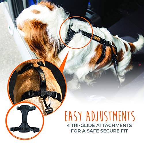 Dog Car Harness - Vehicle Safety Gear - 2 Leash Attachment - Adjustable Straps - Reflective Stitching - Soft Padding - Standard Harness Functionality - No Pull Front Leash Attachment - L - view 4