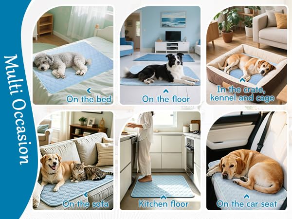 Dog Crate Pad, Durable Breathable Pet Mat, Anti-Slip Sleeping Mat - view 5