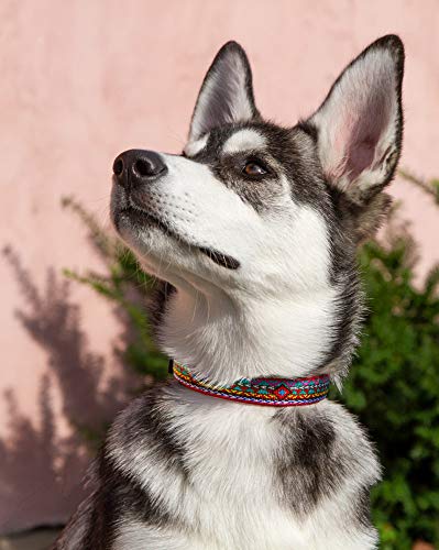 Lupine Dog Collar 1" Wide El Paso Design adjusts 12-20" Long - view 2