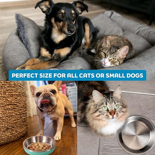 Stainless Steel Cat Bowls 9 oz Heavy Duty Hyper Pink - view 7
