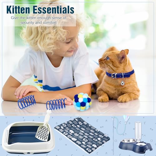 10 Pcs Kitten Starter Kit for Indoor, Classic, Medium, Dark Blue - view 4