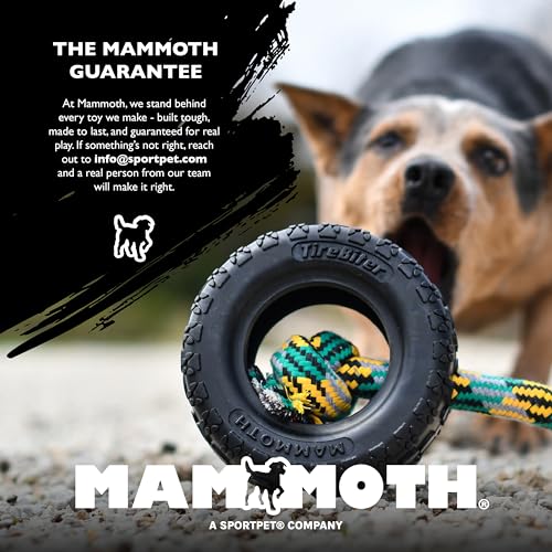 By Mammoth Glow-in-the-Dark Dog Fetch Balls (8-Pack), Lattice Rubber Balls for Night Play, High Bounce Fetch Toys, Rechargeable Under Any Light, Medium 2.5" - view 6
