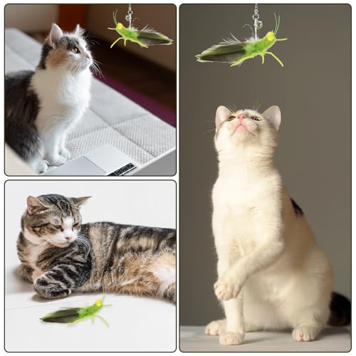 Cat Feather Toys Refills 3 Pack Insects Grasshopper Cat Toy Wand Fun Replacement Feathers Small Cats Interactive Toys Hanging Toy Attachments for Indoor Kittens Cats Teaser Wand Accessory - view 5
