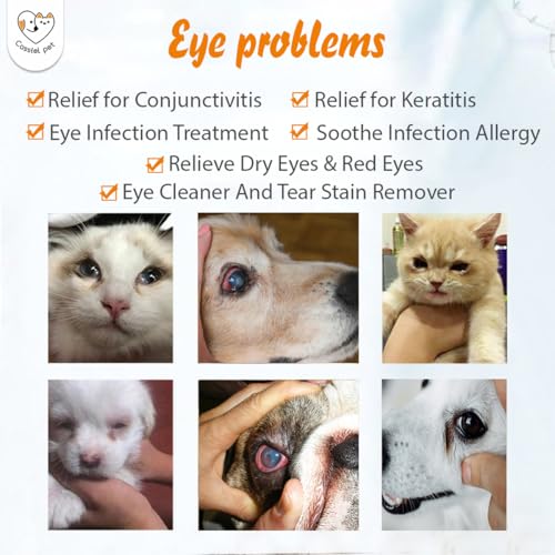Eye Drops for Eye Infection Treatment, Soothe Infection Allergy, Relieve Dry Eyes & Red Eye，Eye Cleaner and Tear Stain Remover for Dogs and Cats | 10 ml 0.33 FL OZ (1 Bottle) - view 3