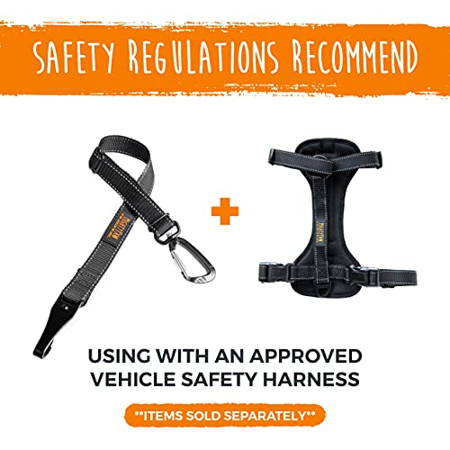 Dog Seat Belt For Car - LATCH Compatible Adjustable Dog Seatbelt Harness for Small, Medium and Large Pets. Distraction Free Driving, Heavy-Duty Design with Aviation Grade Aluminum Carabiner - view 3