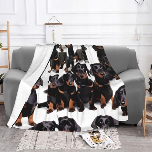 Dachshund Weiner Pet Dogluxury Bed Blanket,Fuzzy Soft Flannel Blanket, Microfiber (40x30 Inches),Thick and Warm - view 3