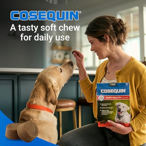 Nutramax Cosequin Joint Supplement for Dogs, Skin & Coat, Soft Chews,120ct - view 5