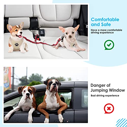 Double Dog Seat Belt for Car with Elastic Bungee Buffer, Adjustable - view 6