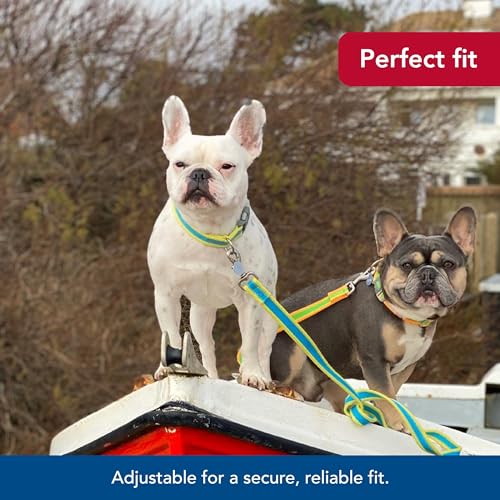 Pet Pro Adjustable Dog Collar, Aqua with Neon Yellow, 1" x 14 20" - view 4