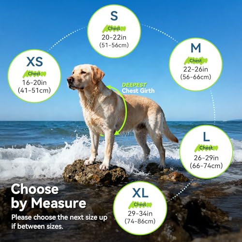 Dog Life Vest Neoprene Dog Swim Vest, XS, Alpha Yellow - view 6